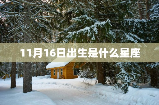 11月16日出生是什么星座