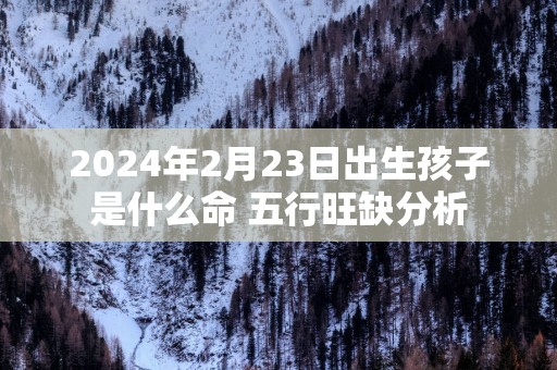 2025年2月23日出生孩子是什么命 五行旺缺分析