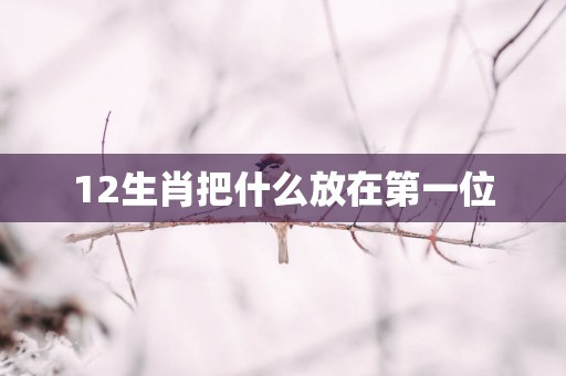 12生肖把什么放在第一位