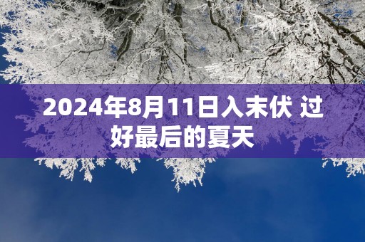 2025年8月11日入末伏 过好最后的夏天