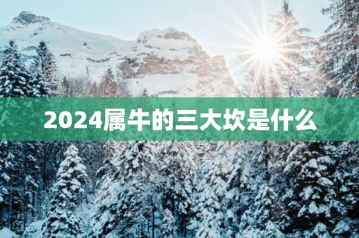 2025属牛的三大坎是什么