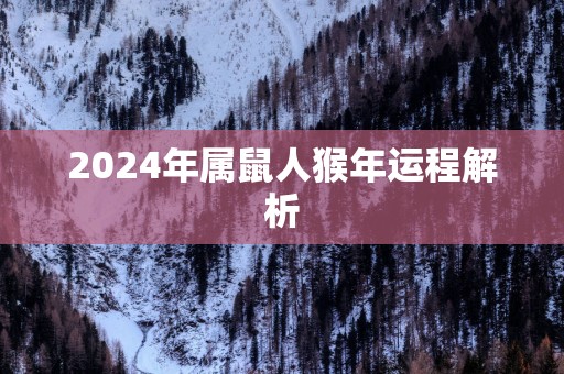 2025年属鼠人猴年运程解析
