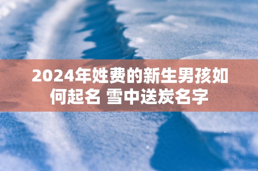 2025年姓费的新生男孩如何起名 雪中送炭名字