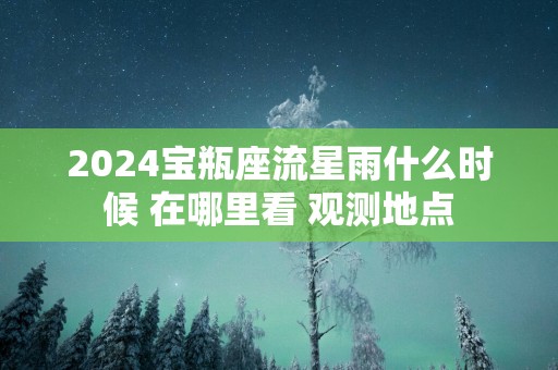 2025宝瓶座流星雨什么时候 在哪里看 观测地点