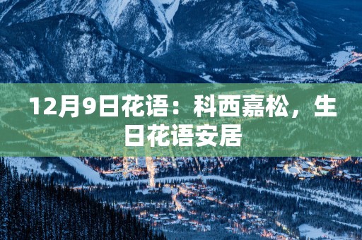 12月9日花语：科西嘉松，生日花语安居
