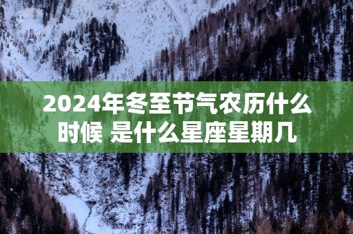 2025年冬至节气农历什么时候 是什么星座星期几