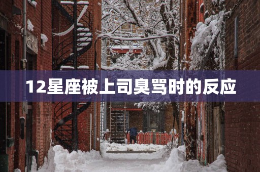12星座被上司臭骂时的反应