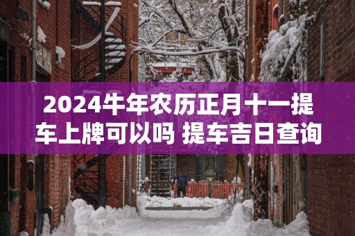 2025蛇年农历正月十一提车上牌可以吗 提车吉日查询