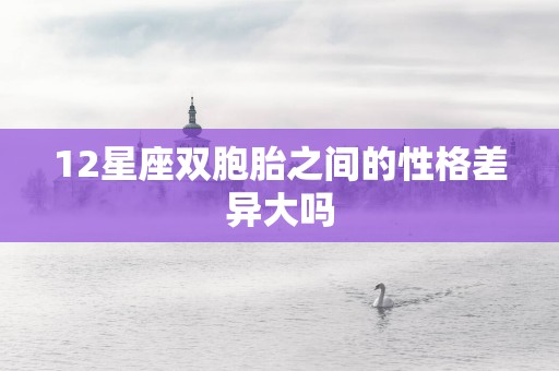 12星座双胞胎之间的性格差异大吗