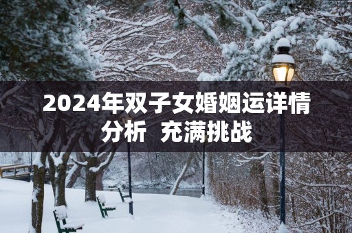 2025年双子女婚姻运详情分析  充满挑战