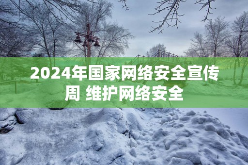 2024年国家网络安全宣传周 维护网络安全