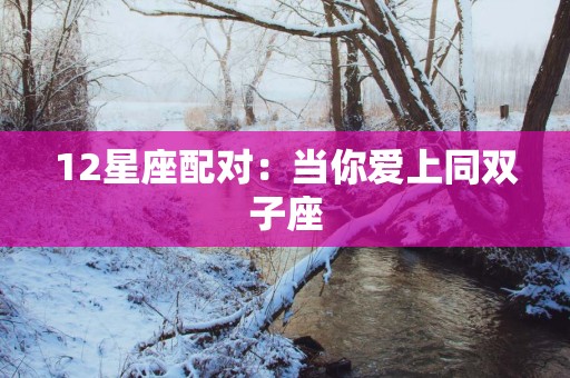 12星座配对：当你爱上同双子座