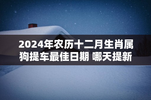 2025年农历十二月生肖属狗提车最佳日期 哪天提新车吉祥