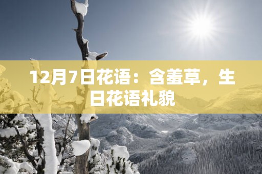 12月7日花语：含羞草，生日花语礼貌