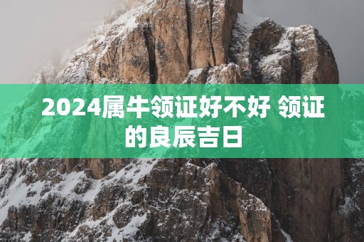 2025属牛领证好不好 领证的良辰吉日