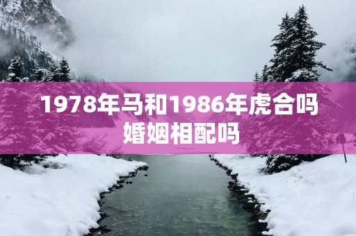 1978年马和1986年虎合吗 婚姻相配吗