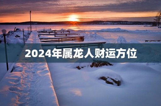 2025年属龙人财运方位
