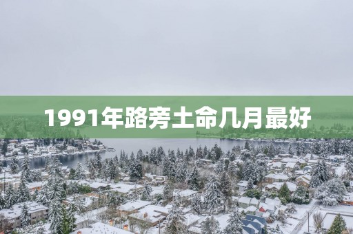 1991年路旁土命几月最好