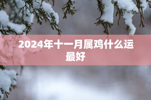 2025年十一月属鸡什么运最好