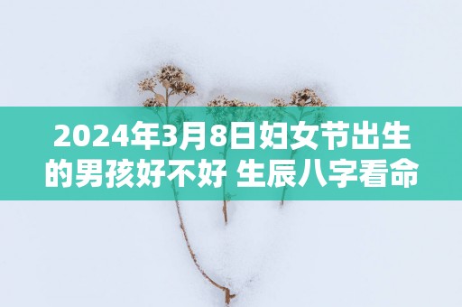 2025年3月8日妇女节出生的男孩好不好 生辰八字看命