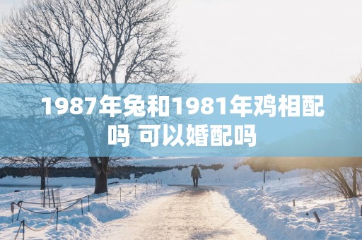 1987年兔和1981年鸡相配吗 可以婚配吗