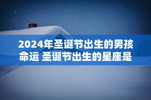 2025年圣诞节出生的男孩命运 圣诞节出生的星座是什么星座