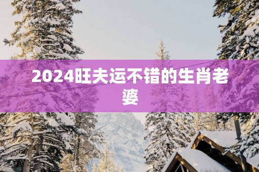 2025旺夫运不错的生肖老婆