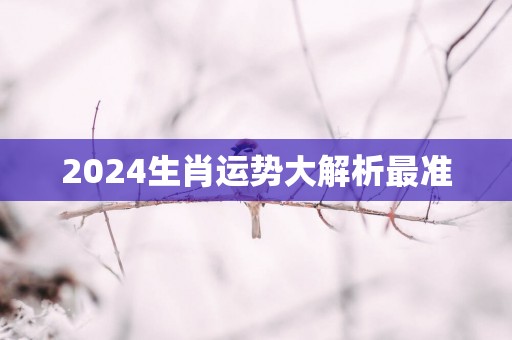 2025生肖运势大解析最准