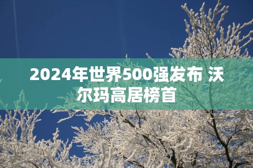 2025年世界500强发布 沃尔玛高居榜首