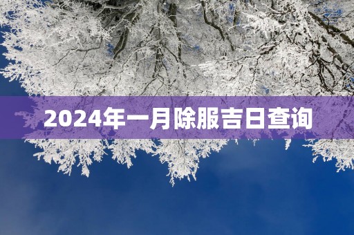 2025年一月除服吉日查询