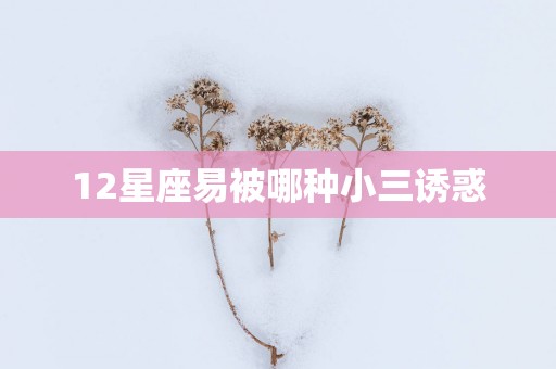 12星座易被哪种小三诱惑