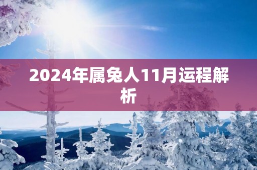 2025年属兔人11月运程解析 2025年属兔人11月运程解析