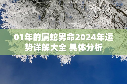 01年的属蛇男命2025年运势详解大全 具体分析