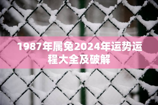 1987年属兔2025年运势运程大全及破解