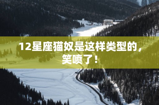 12星座猫奴是这样类型的，笑喷了！
