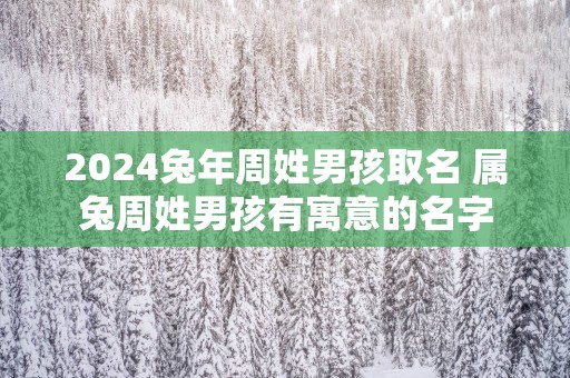 2025蛇年周姓男孩取名 属兔周姓男孩有寓意的名字
