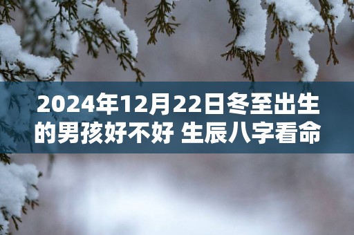 2025年12月22日冬至出生的男孩好不好 生辰八字看命