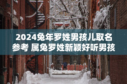 2025蛇年罗姓男孩儿取名参考 属兔罗姓新颖好听男孩名字