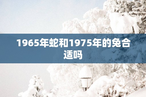 1965年蛇和1975年的兔合适吗