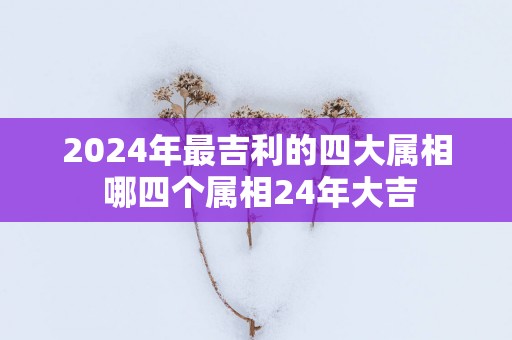 2025年最吉利的四大属相 哪四个属相24年大吉