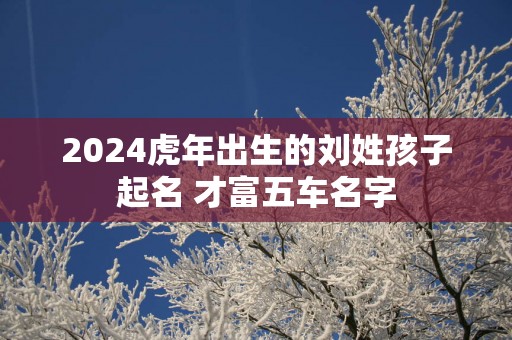 2025蛇年出生的刘姓孩子起名 才富五车名字