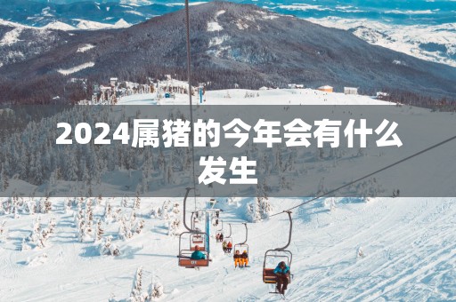 2025属猪的今年会有什么发生