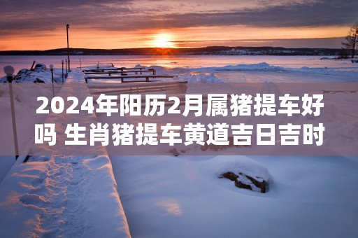 2025年阳历2月属猪提车好吗 生肖猪提车黄道吉日吉时