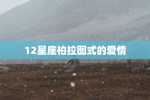 12星座柏拉图式的爱情