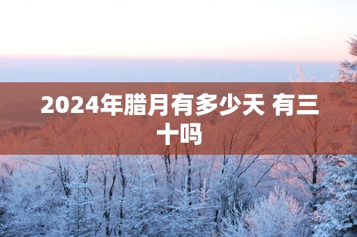 2025年腊月有多少天 有三十吗