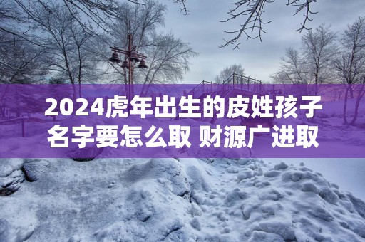 2025蛇年出生的皮姓孩子名字要怎么取 财源广进取名