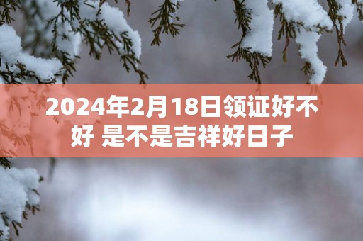 2025年2月18日领证好不好 是不是吉祥好日子
