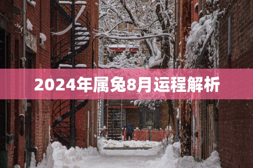 2025年属兔8月运程解析