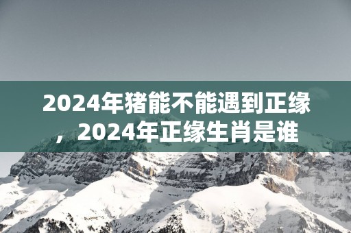 2025年猪能不能遇到正缘，2025年正缘生肖是谁