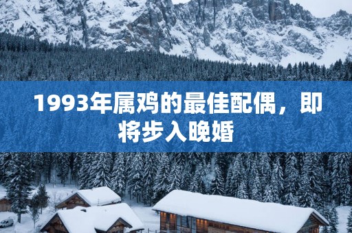 1993年属鸡的最佳配偶，即将步入晚婚
